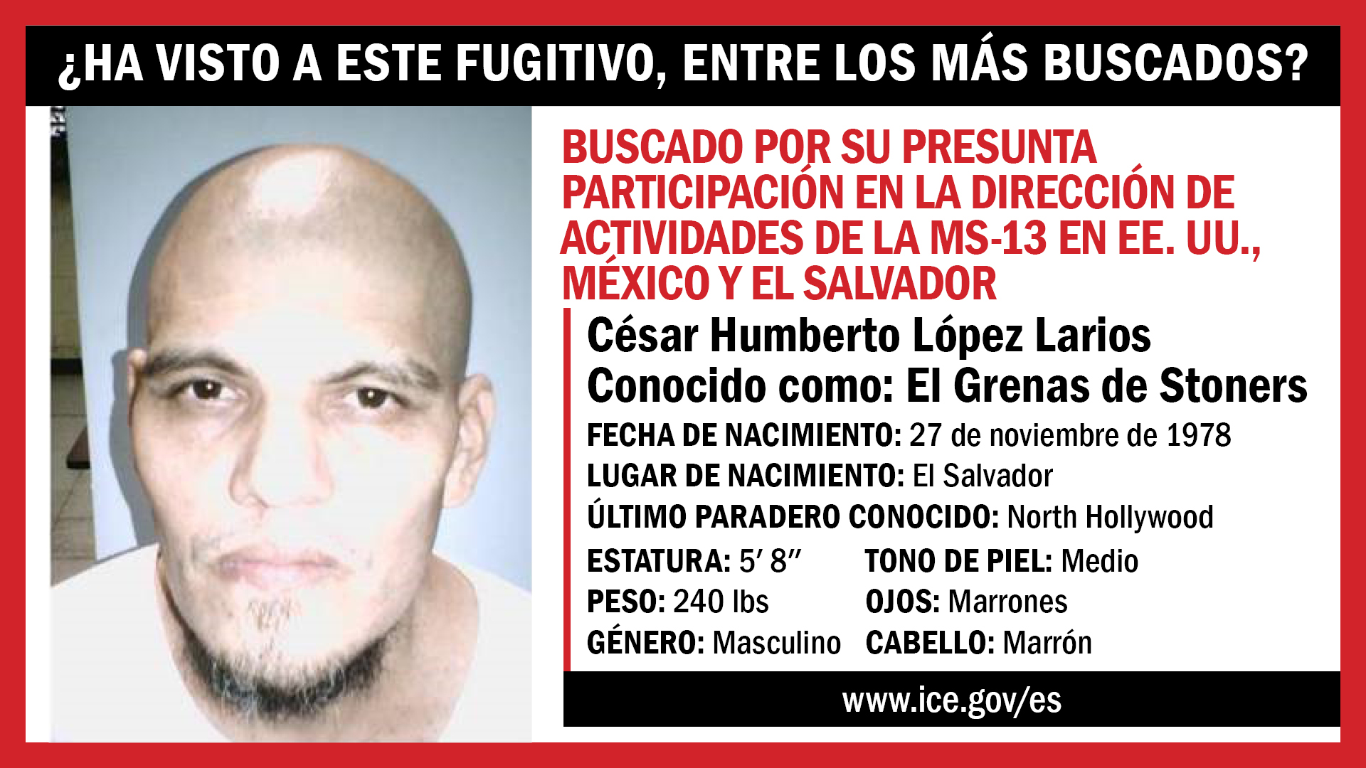 CESAR HUMBERTO LOPEZ-LARIOS (“El Grenas de Stoners” y “Oso de Stoners”)
