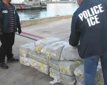 more than 1000 kilograms of cocaine seized by ICE in Puerto Rico