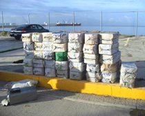 more than 1000 kilograms of cocaine seized by ICE in Puerto Rico