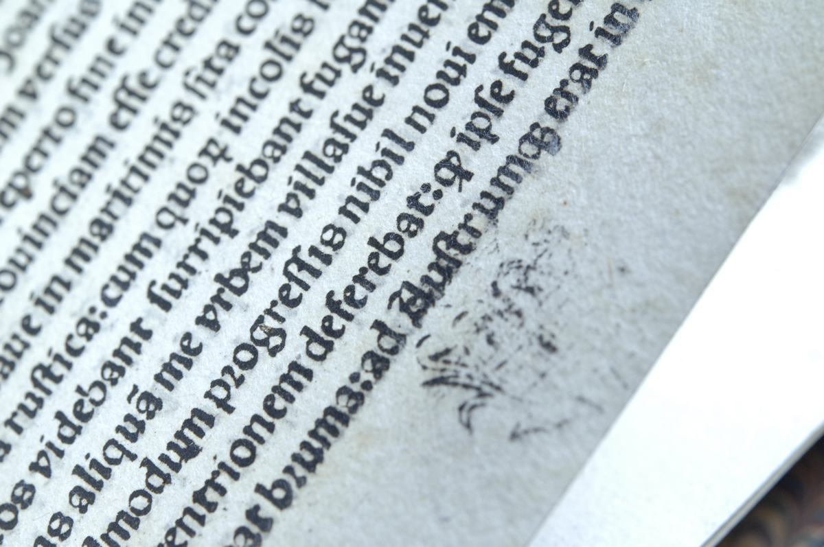 ICE and DOJ return Christopher Columbus letter to Spain 